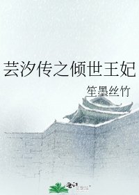 （综同人）芸汐传之倾世王妃