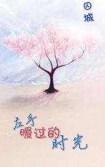 左手暖过的时光