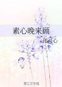 素心晚来顾