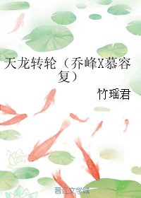 《(BL/天龙八部同人)天龙转轮(乔峰X慕容复)》