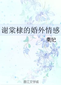 谢棠棣的婚外情感