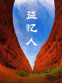 盗忆人