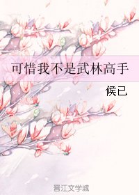 可惜我不是武林高手