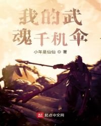 我的武魂千机伞