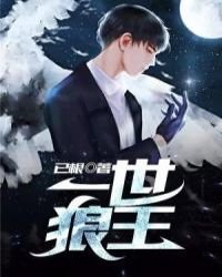《一世狼王》