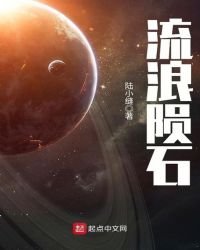 《流浪陨石》