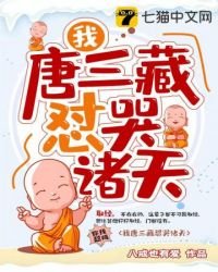 《我唐三藏怼哭诸天》