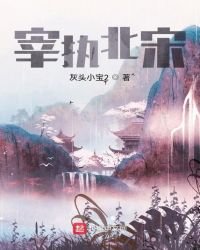 宰执北宋