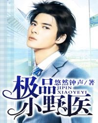 《极品小野医》