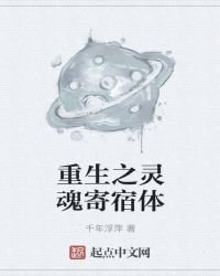 《重生之灵魂寄宿体》