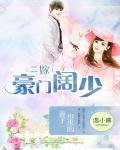 二嫁豪门阔少：抢来的妻子