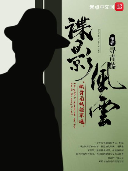 谍影风云/民国谍影