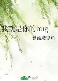 我就是你的bug