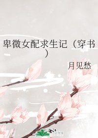 《卑微女配求生记》