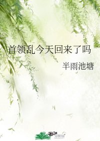 （文野同人）首领乱今天回来了吗