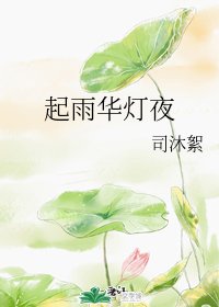 起雨华灯夜