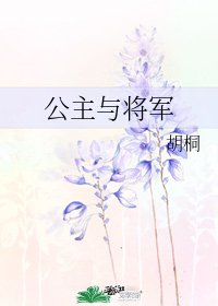 公主与将军