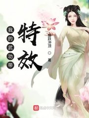《我的武功带特效》