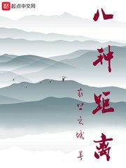 八种距离
