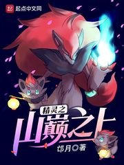 《(精灵宝可梦同人)精灵之山巅之上》