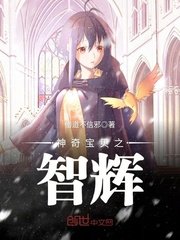 《(神奇宝贝同人)神奇宝贝之智辉》