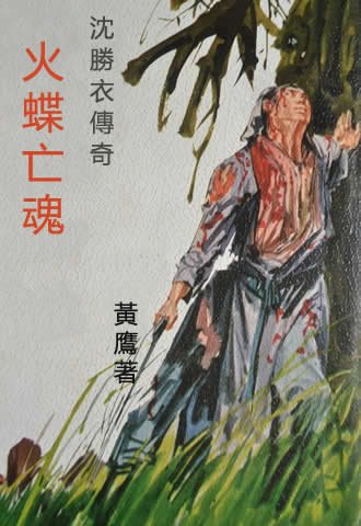 沈胜衣传奇之火蝶亡魂