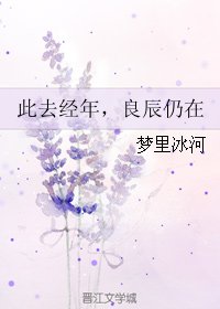此去经年，良辰仍在