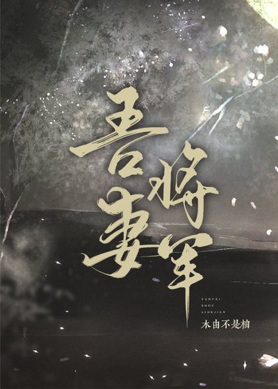 《夫君又掉马甲了》
