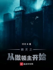 《精灵之从做领主开始》