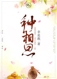 种相思