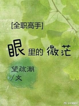 （BG/全职高手同人）[全职]眼里的微茫
