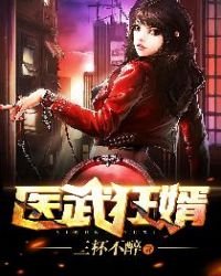 《医武狂婿》