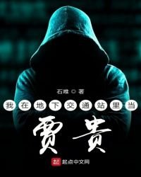 《我在地下交通站里当贾贵》