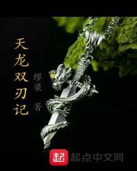 《天龙双刃记》