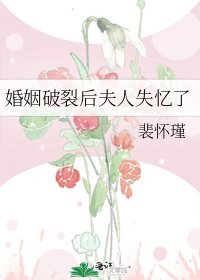《婚姻破裂后夫人失忆了》