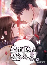 霸道总裁高冷妻