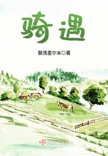 《骑遇》