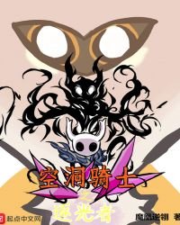 空洞骑士之逐光者