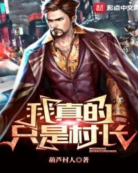 《我真的只是村长》