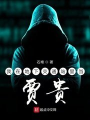 《我在地下交通站里当贾贵》