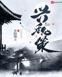 兴魏策