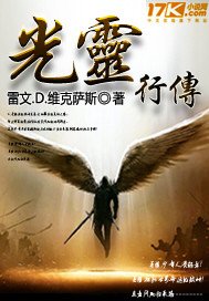 《光灵行传》