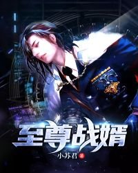 《至尊战婿》