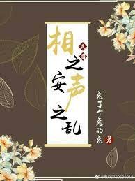 民国相之安，声之乱