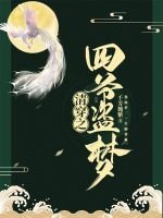 清穿之四爷盗梦