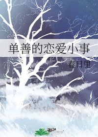 《单善的恋爱小事》