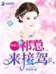 《暖婚之祁总来接驾》