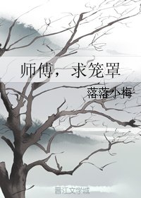 师傅，求笼罩