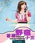 首席野蛮小三