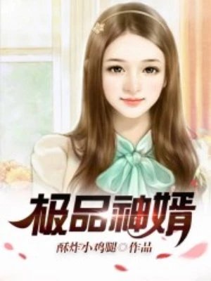 极品神婿